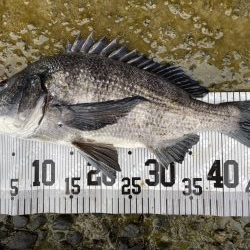 イチノ兄弟、釣果！