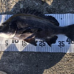 イチノ兄弟、釣果!