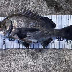 イチノ兄弟、釣果!