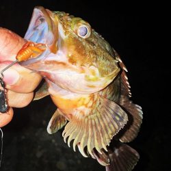 極寒の釣りは短時間勝負🥶