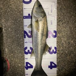 バレンタインデーフィッシュ‼️