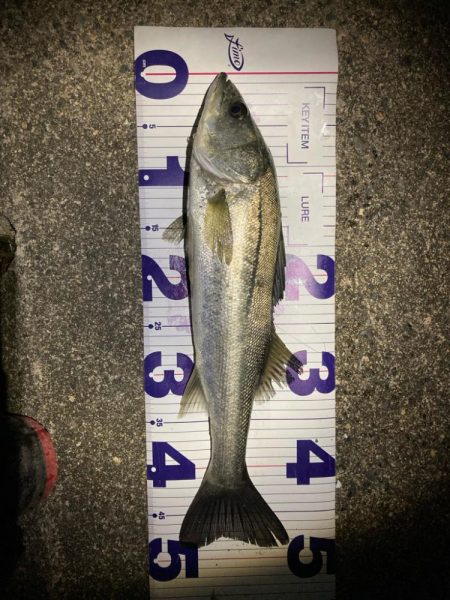 バレンタインデーフィッシュ‼…