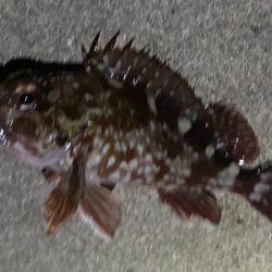 極寒のなかガシリング