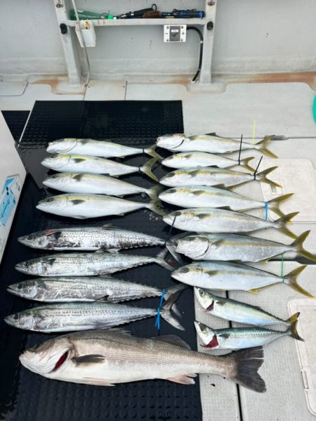 ヒラマサ/ジギング