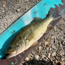 雪の残る中❄️