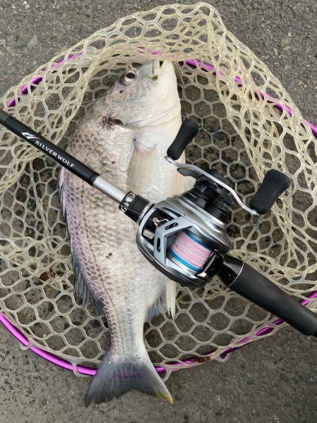 爆風チニングチャレンジ！