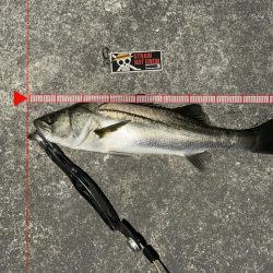 んー…やらかした…