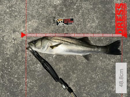 んー…やらかした…