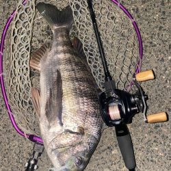 仕事帰り15分チニング！