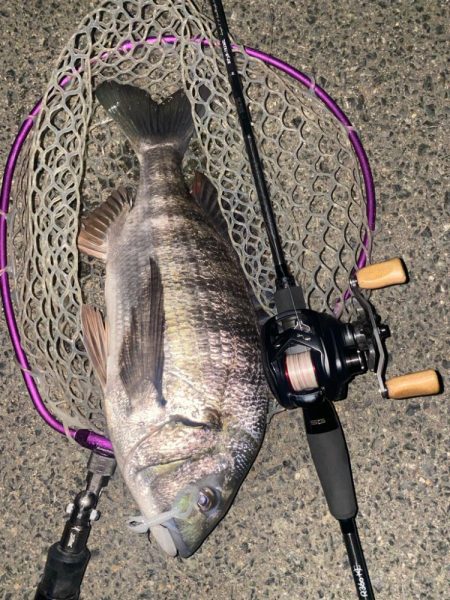 仕事帰り15分チニング！