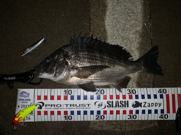 ファーストフィッシュ