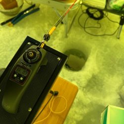 ワカサギ の聖地へ出陣！