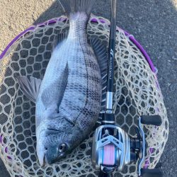 夕まずめチニング！