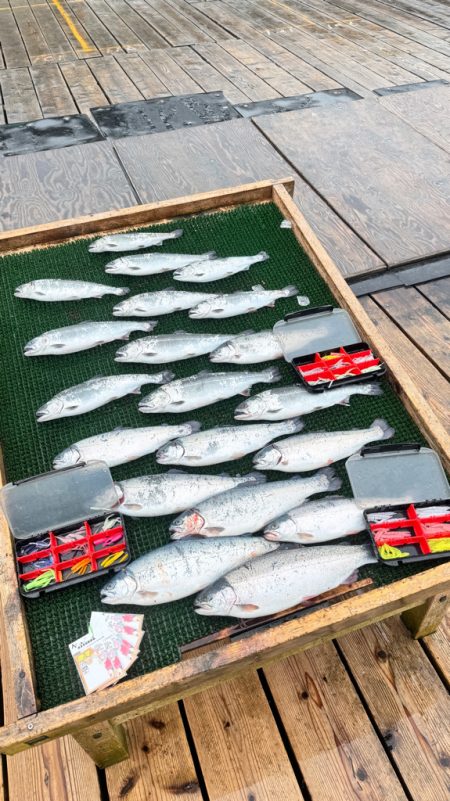 サーモン/脈釣り