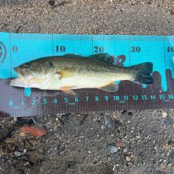 リアクションで一本🔥