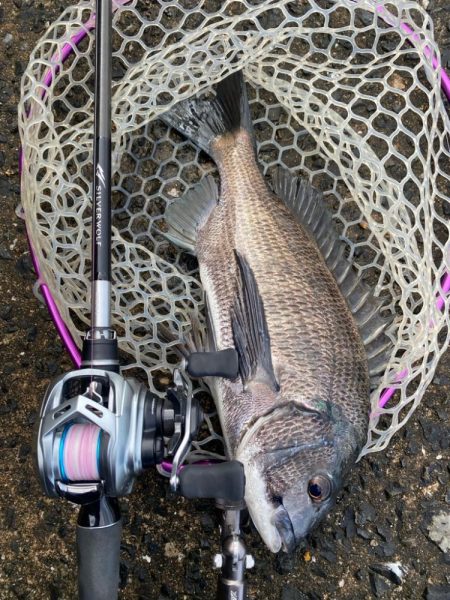 2週連続のつ抜け！