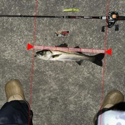 寒くても鞭打っていけば釣れる!