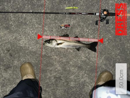 寒くても鞭打っていけば釣れる!