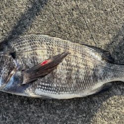 極寒の中エビ撒き