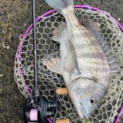 極寒チニング！