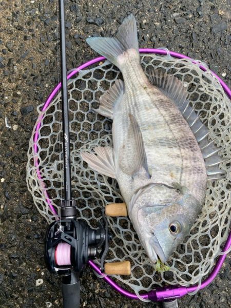 極寒チニング！