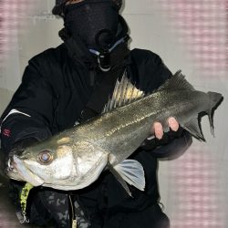 もう再販して欲しい!上州屋浦安店さんお願い!