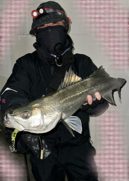 もう再販して欲しい!上州屋浦安店さんお願い!