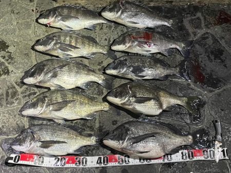 好調！　チヌジギング