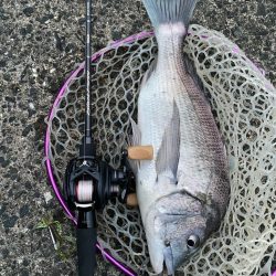 極寒激渋チニング！