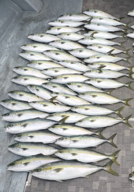 真冬逆ハンドルジギング