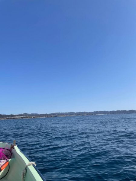 レンタルボート