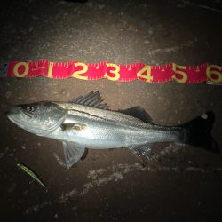 バチの姿は見えないが、バチ食いか?