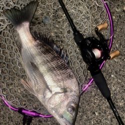 超ショートバイト!