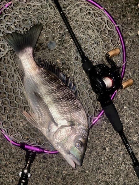 超ショートバイト！