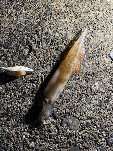 なかなか渋い1日