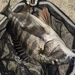 ヘチってきました