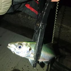 フロートゲーム～