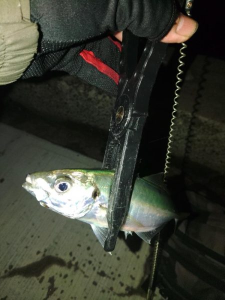 フロートゲーム～