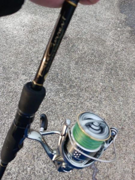 アジングでエサ確保 尺アジもエサです。