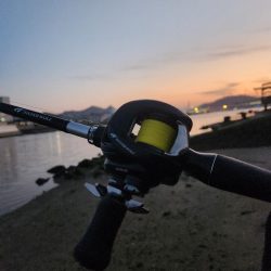 しごおわチニング