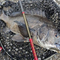 広島敷石ネチネチニング