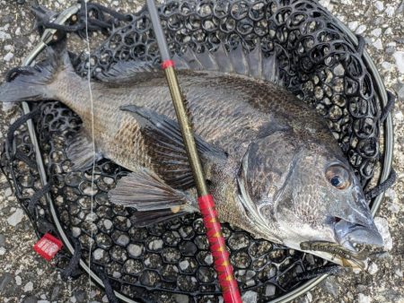 広島敷石ネチネチニング