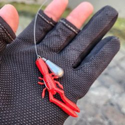 夕暮れチニング