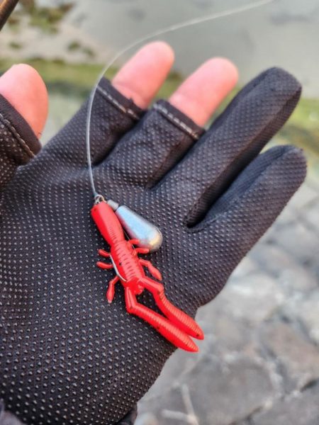 夕暮れチニング