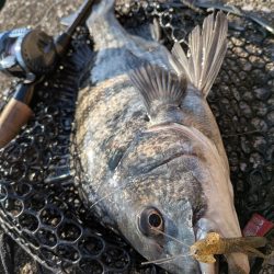 広島敷石ネチネチニング