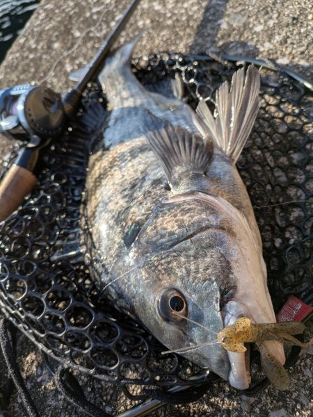 広島敷石ネチネチニング