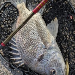 広島冬チニング