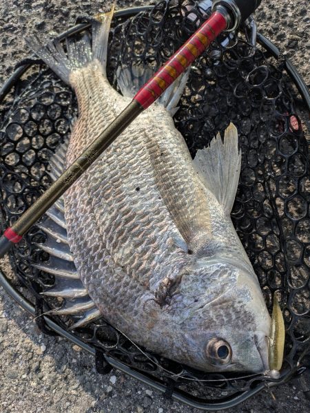 広島冬チニング