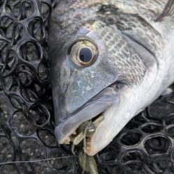 極寒チニングin呉