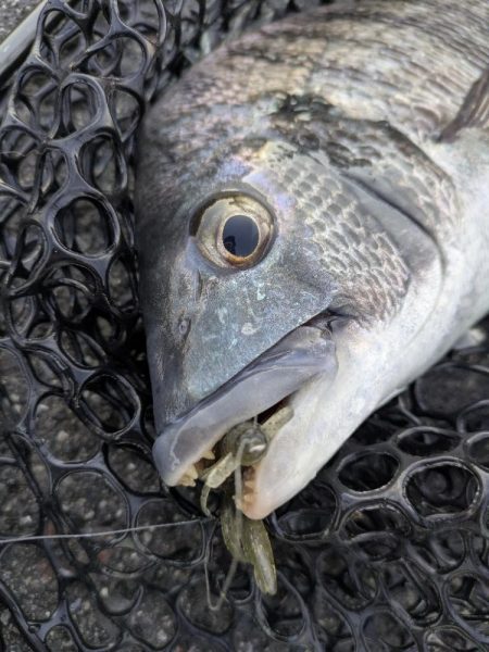 極寒チニングin呉